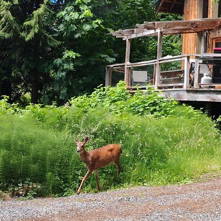 Ocean Views & Sunset Beach Cabin With Soaker Tub & Fire Pit Villa Powell River Exterior foto