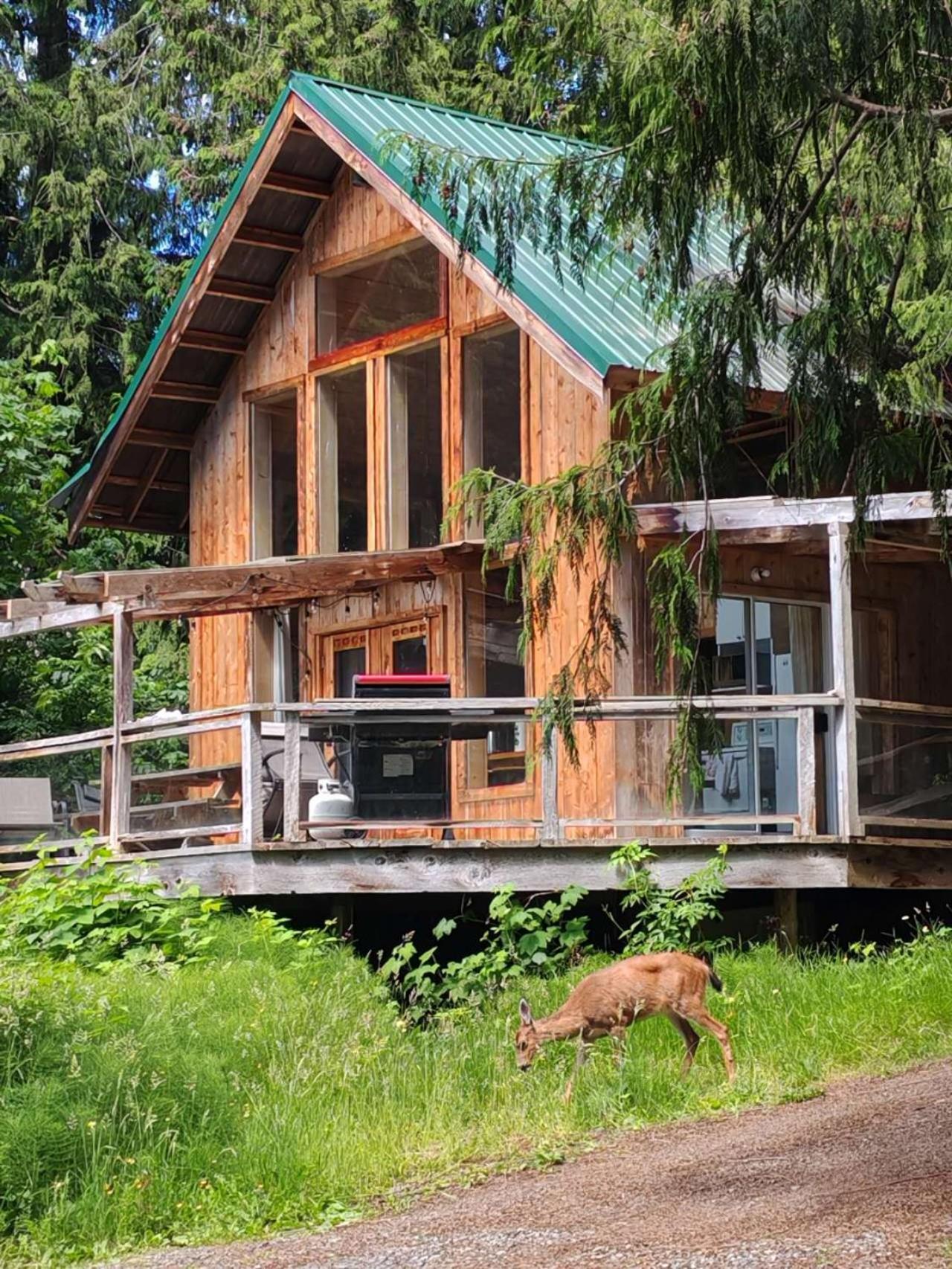Ocean Views & Sunset Beach Cabin With Soaker Tub & Fire Pit Villa Powell River Exterior foto